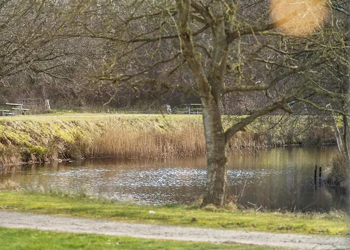 Holiday home 4 Star In Ringkobing