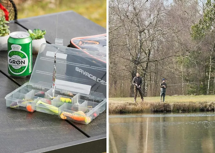 4 Star In * Ringkobing